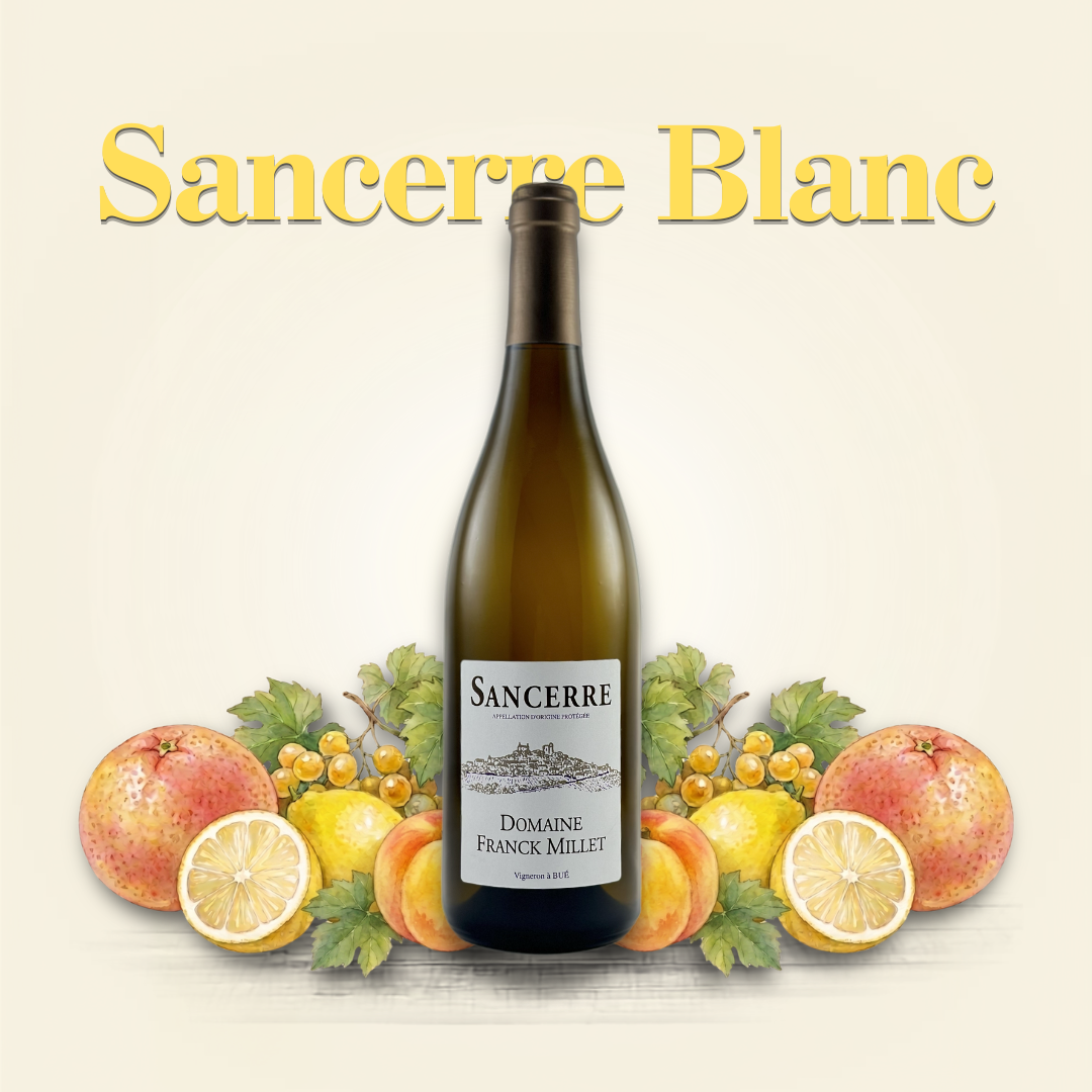 Design sans titre-5